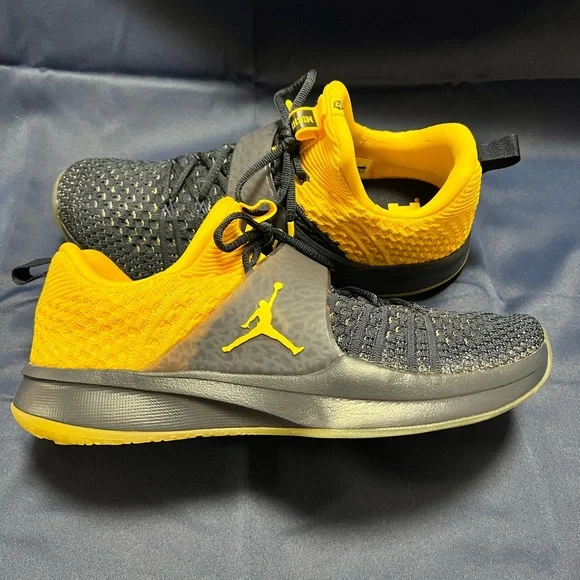 Jordan trainer hot sale 2 flyknit michigan
